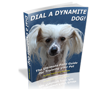 Dynamite dog training online